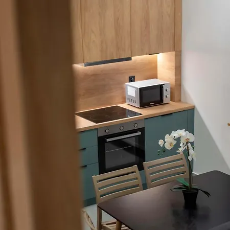 Deluxe Spacious Daire Selanik